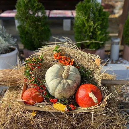 Jezero - Vikendica * Snijeznica