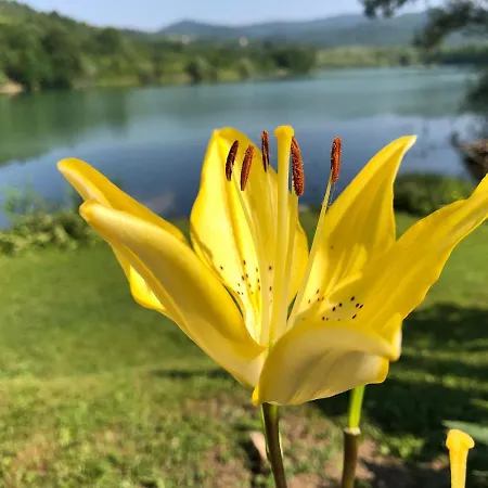 Jezero - Vikendica Prázdninový dům Snijeznica
