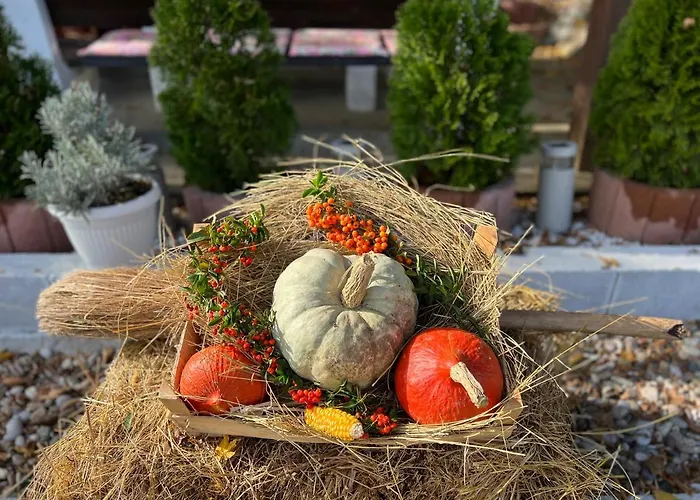 Jezero - Vikendica * Snijeznica